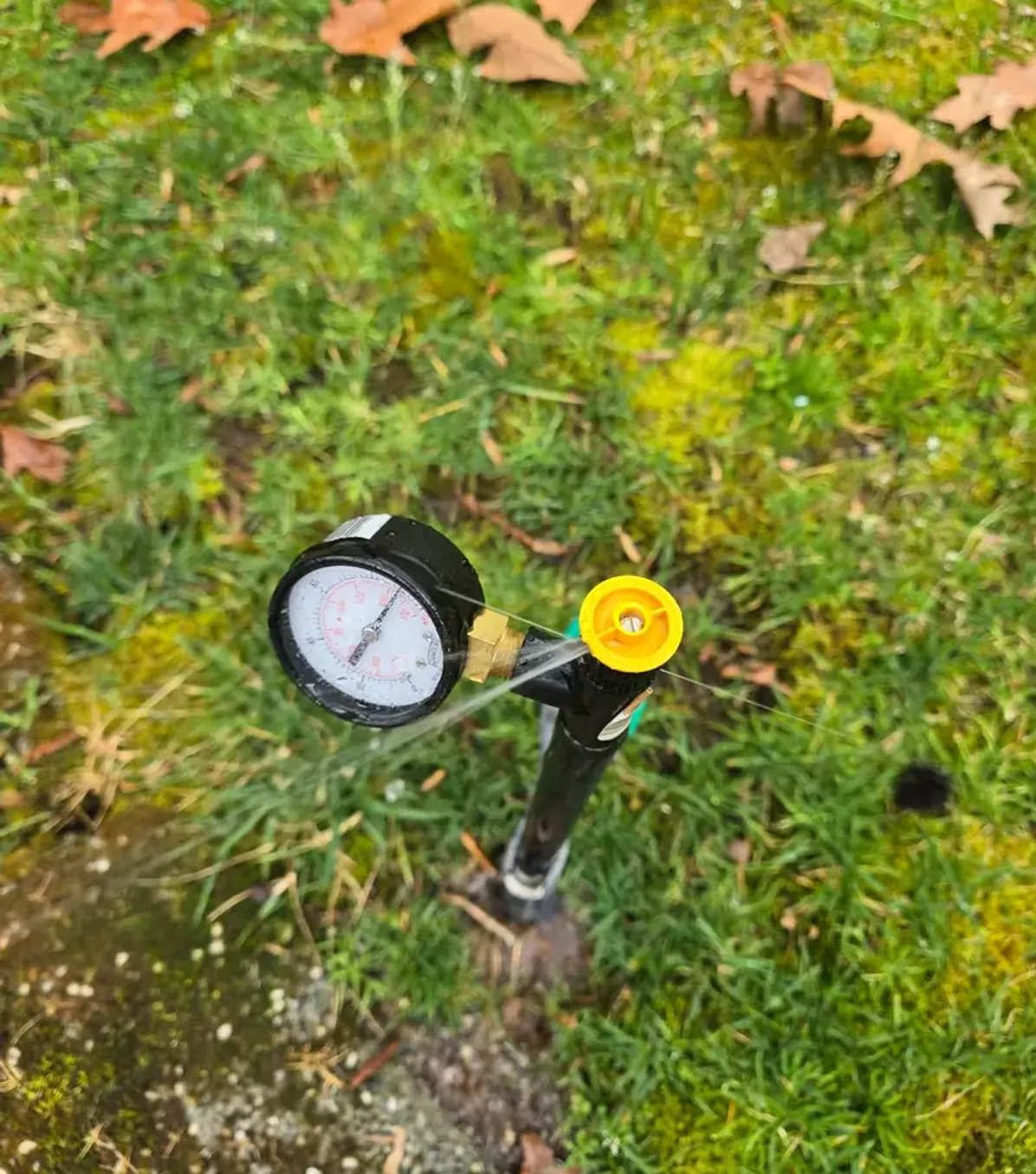 Sprinkler in the yard