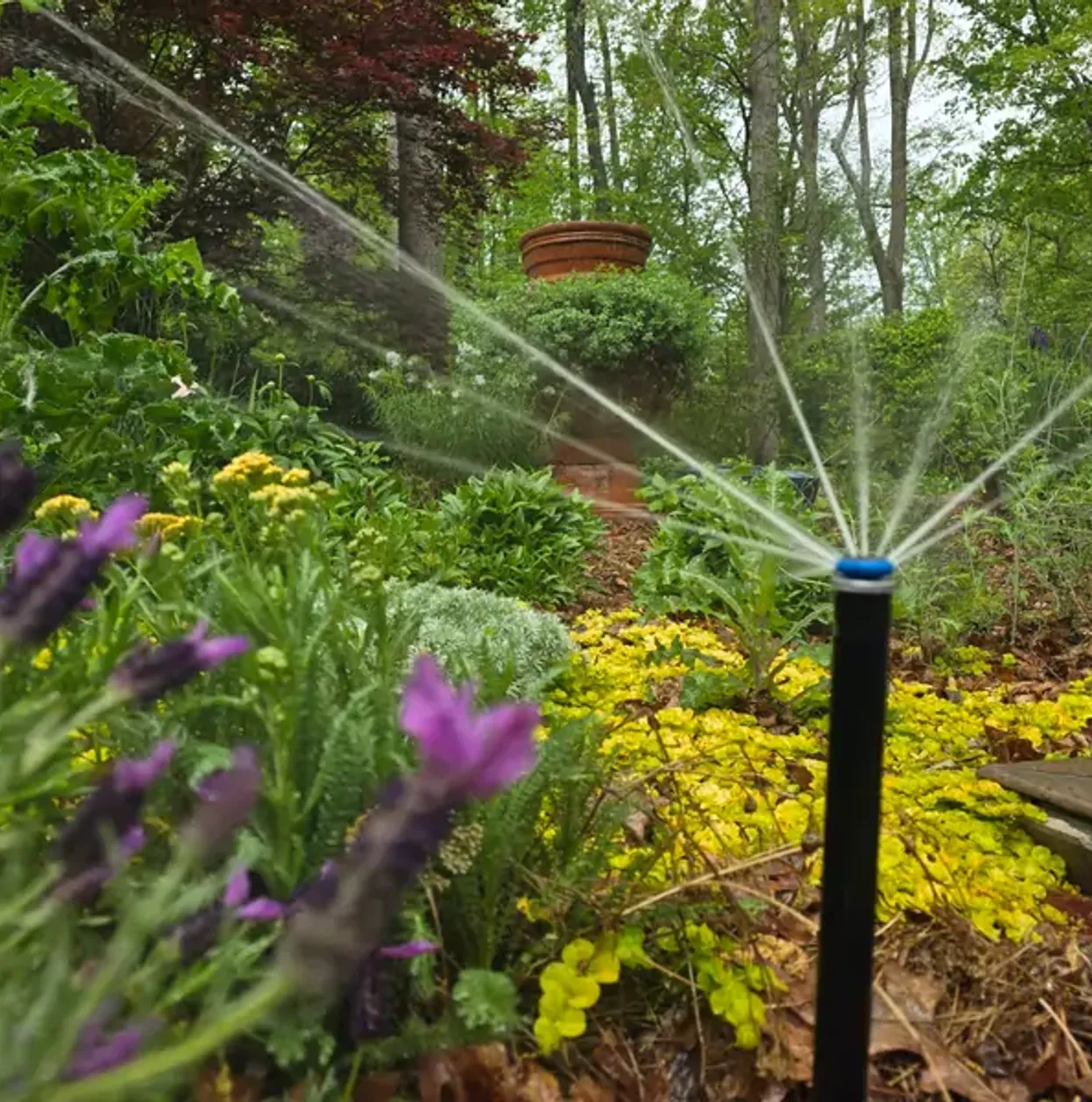 New irrigation system in a garden